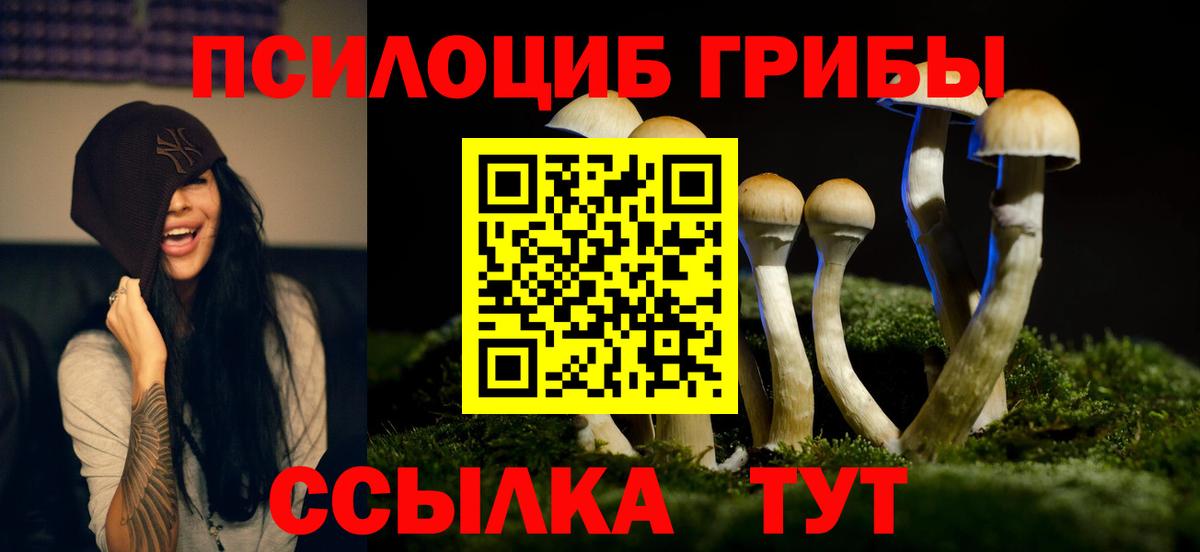 Галлюциногенные грибы MAGIC MUSHROOMS Курчатов
